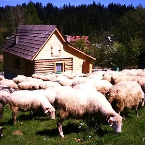 Domek Przy Olczyskiej Zakopane